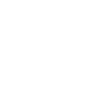 assurance-icon