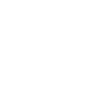 expertise-icon